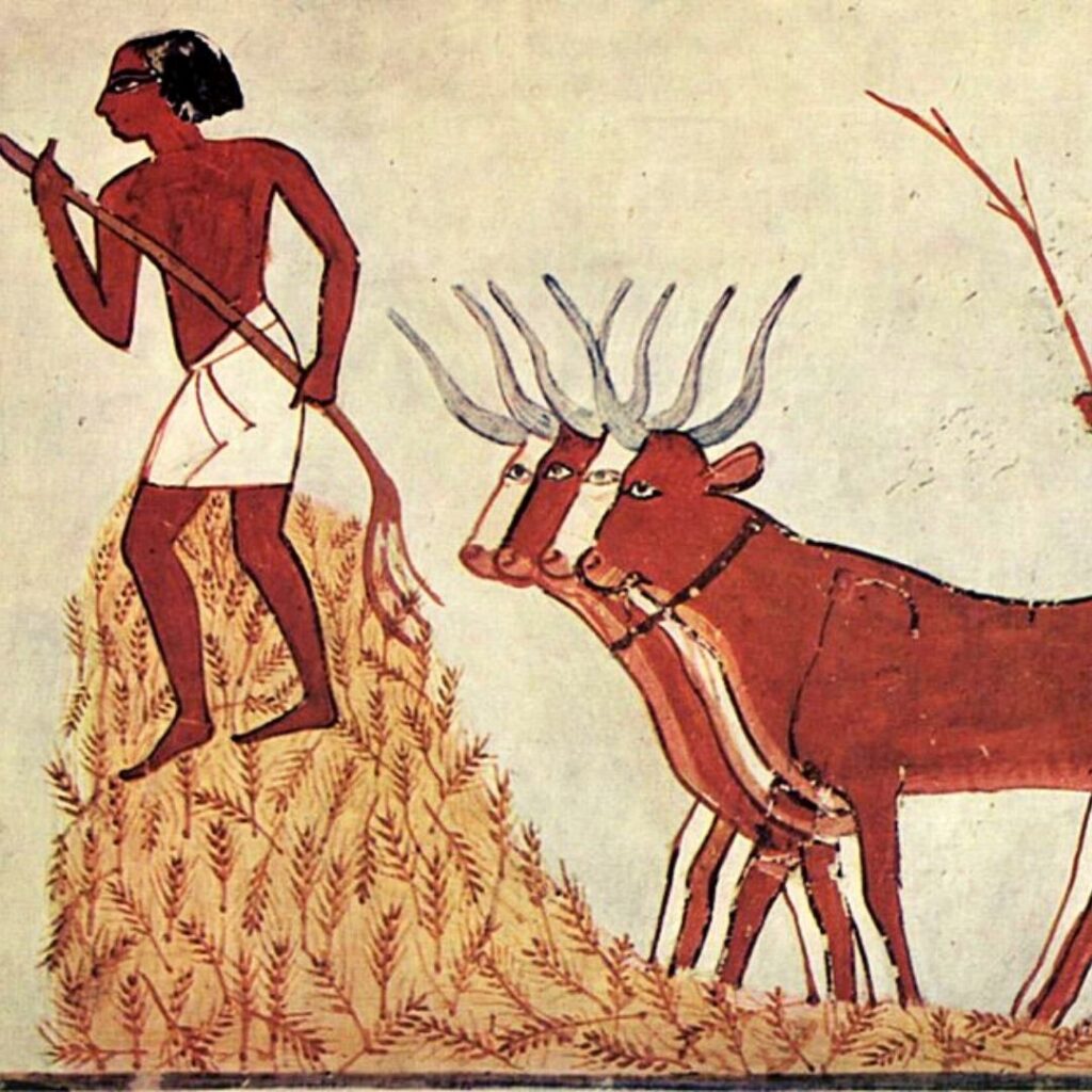 alimentacion antiguo egipto