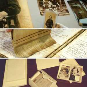 3 cursos online conservación de fotografías libros y documentos
