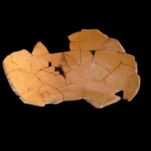 fragmentos de ceràmica arqueológica despues del encolado
