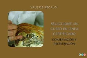 voucher cursos conservacion y restauracion