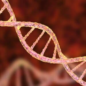 ilustracion de ADN em el curso de genealogia